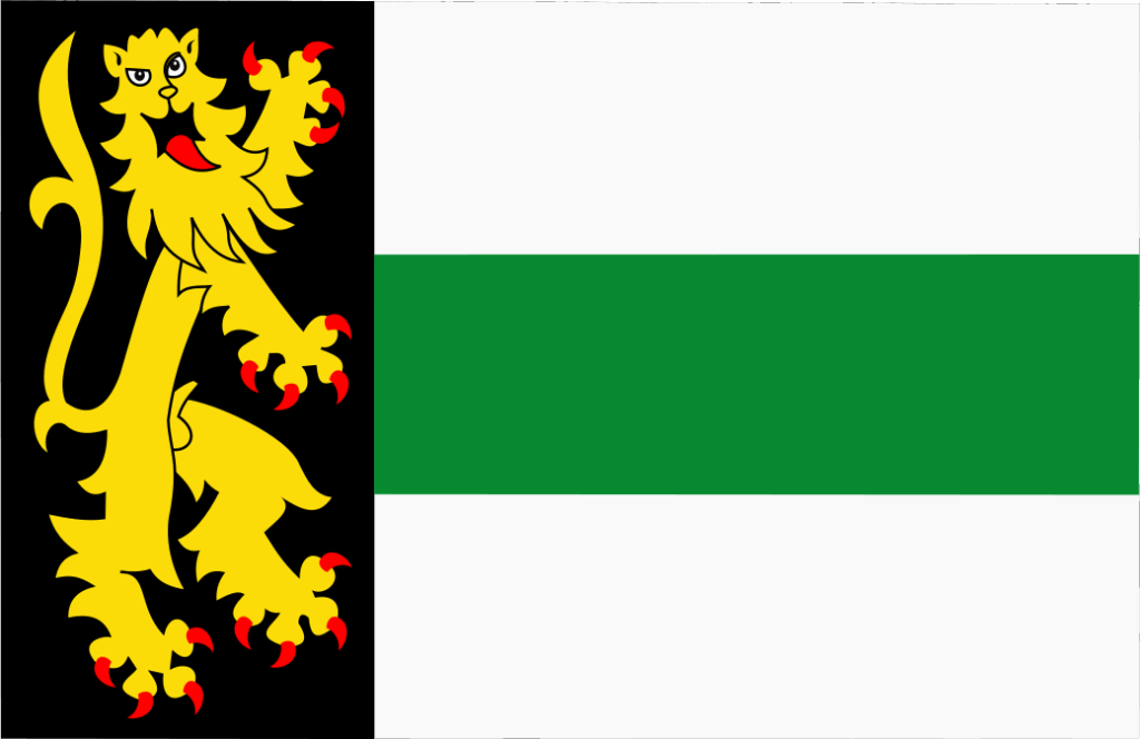 website-laten-maken-druten